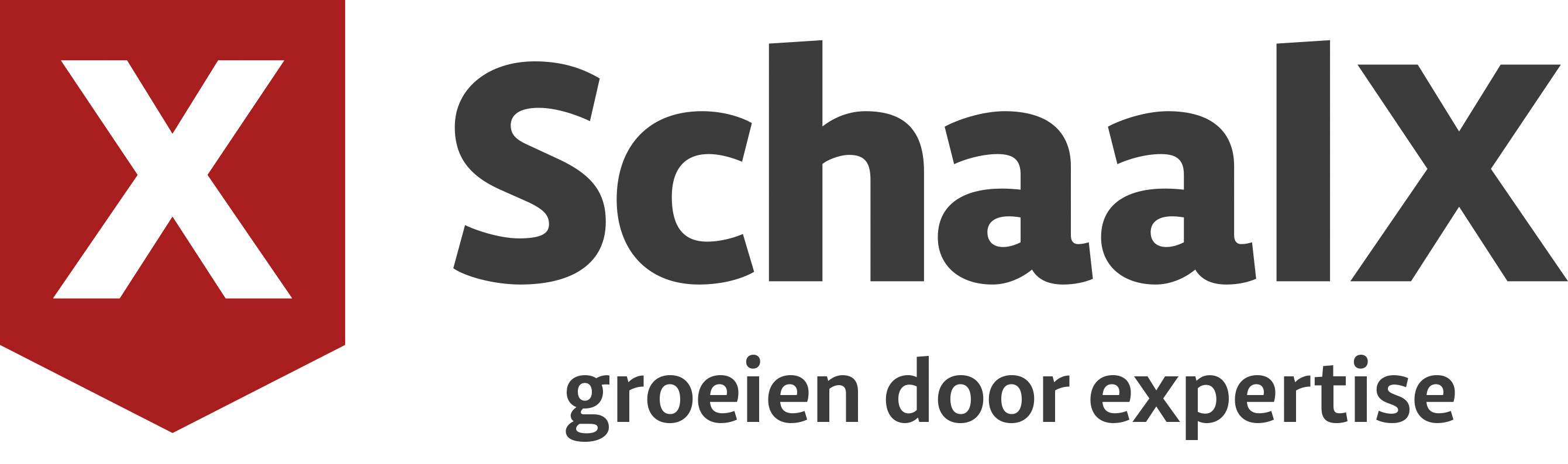 Jouw bureau voor de beste gekwalificeerde professionals in marketing, communicatie en digital